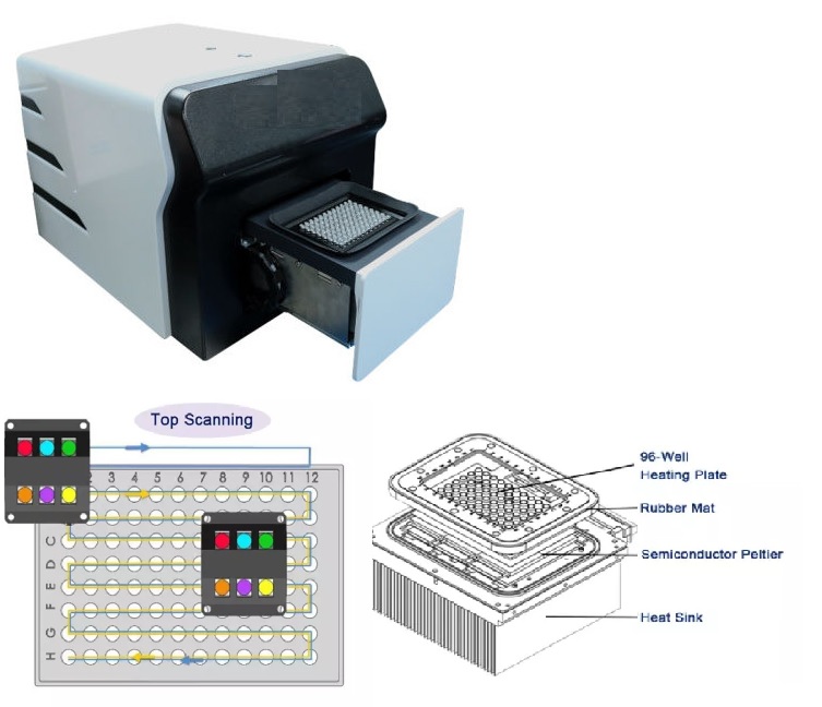 Hệ thống phát hiện định lượng huỳnh quang / Máy phân tích PCR thời gian thực